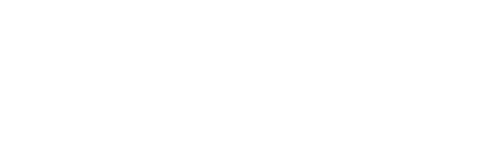 Logo TS