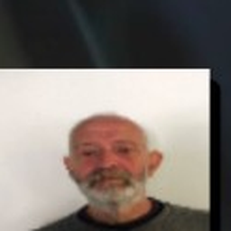 Luís.R